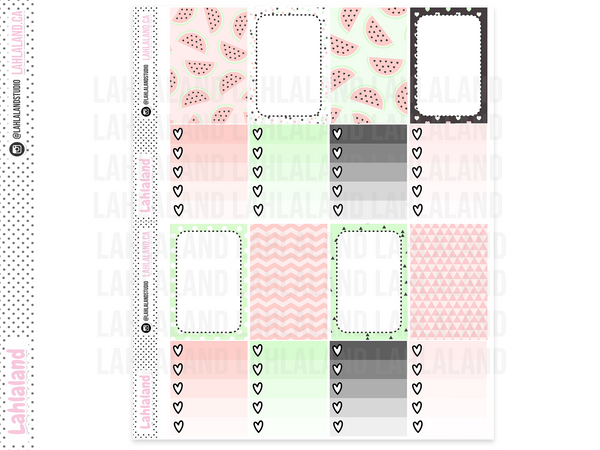 Classic Happy Planner - Watermelon Chic Weekly Kit