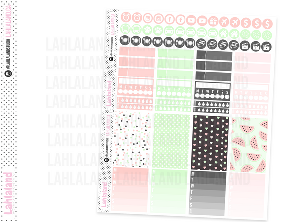 Classic Happy Planner - Watermelon Chic Weekly Kit