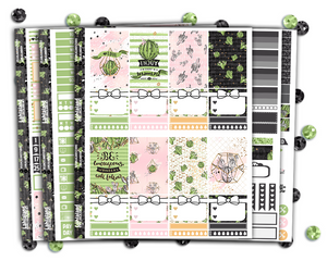 Classic Happy Planner - Succulents Weekly Kit