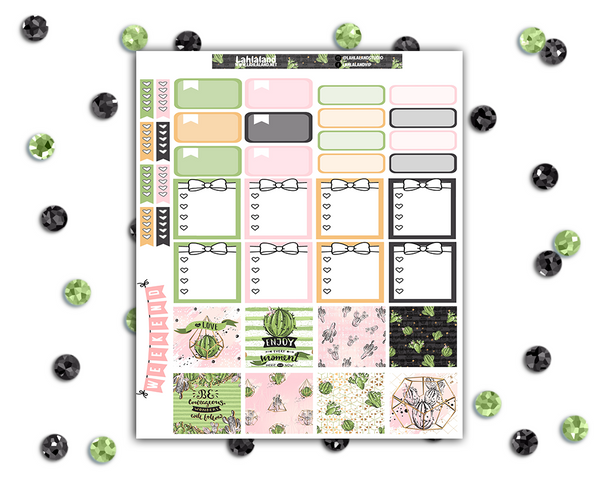 Mini Happy Planner - Succulents Weekly Kit