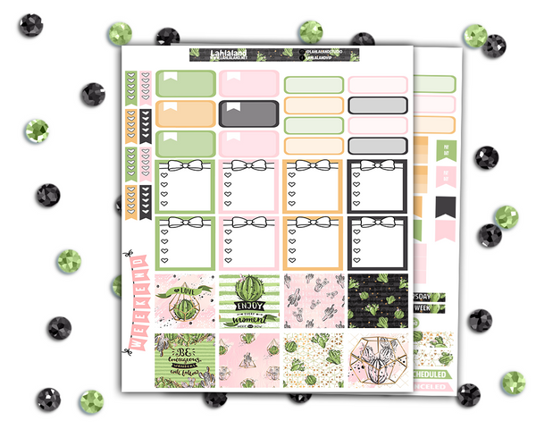 Mini Happy Planner - Succulents Weekly Kit
